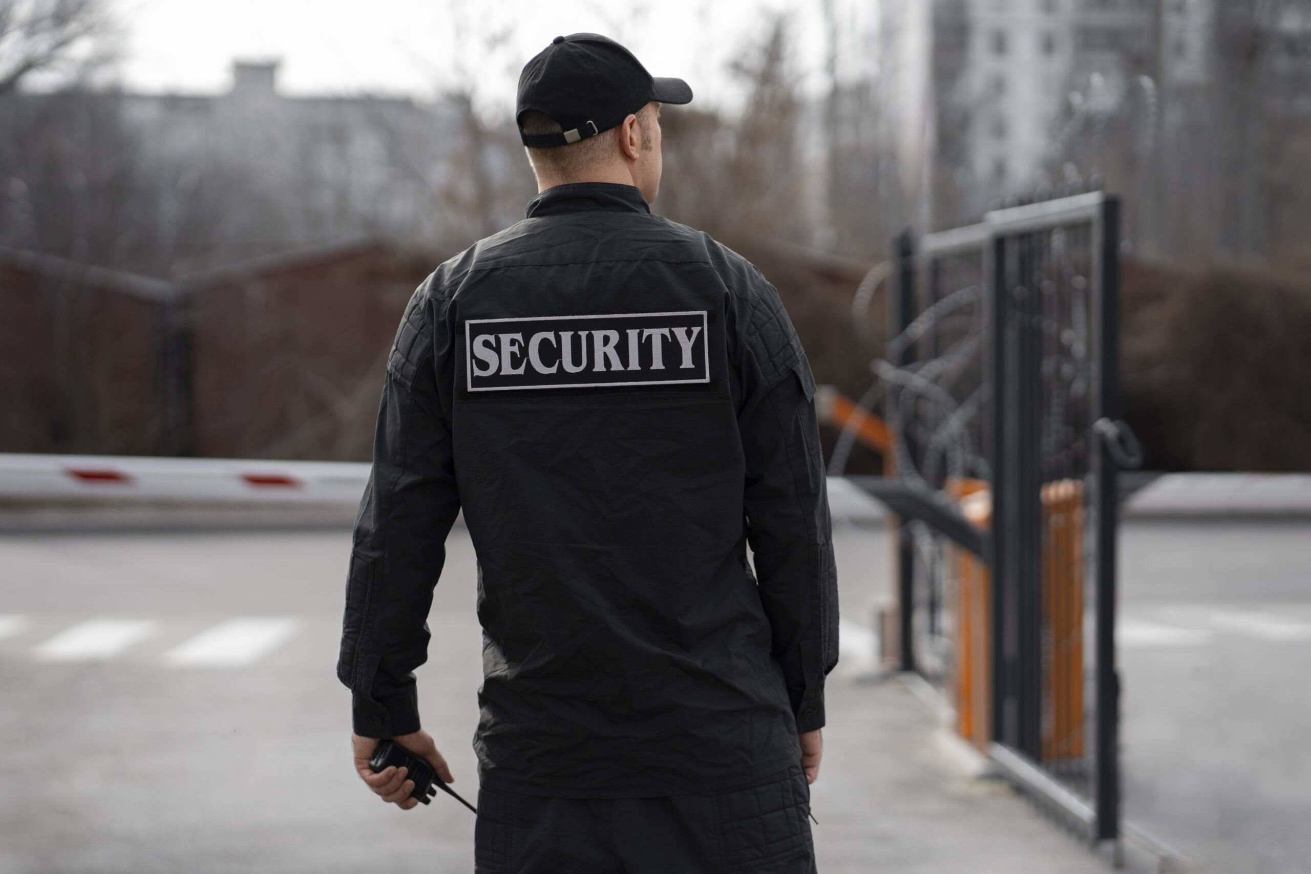 Manpower in security